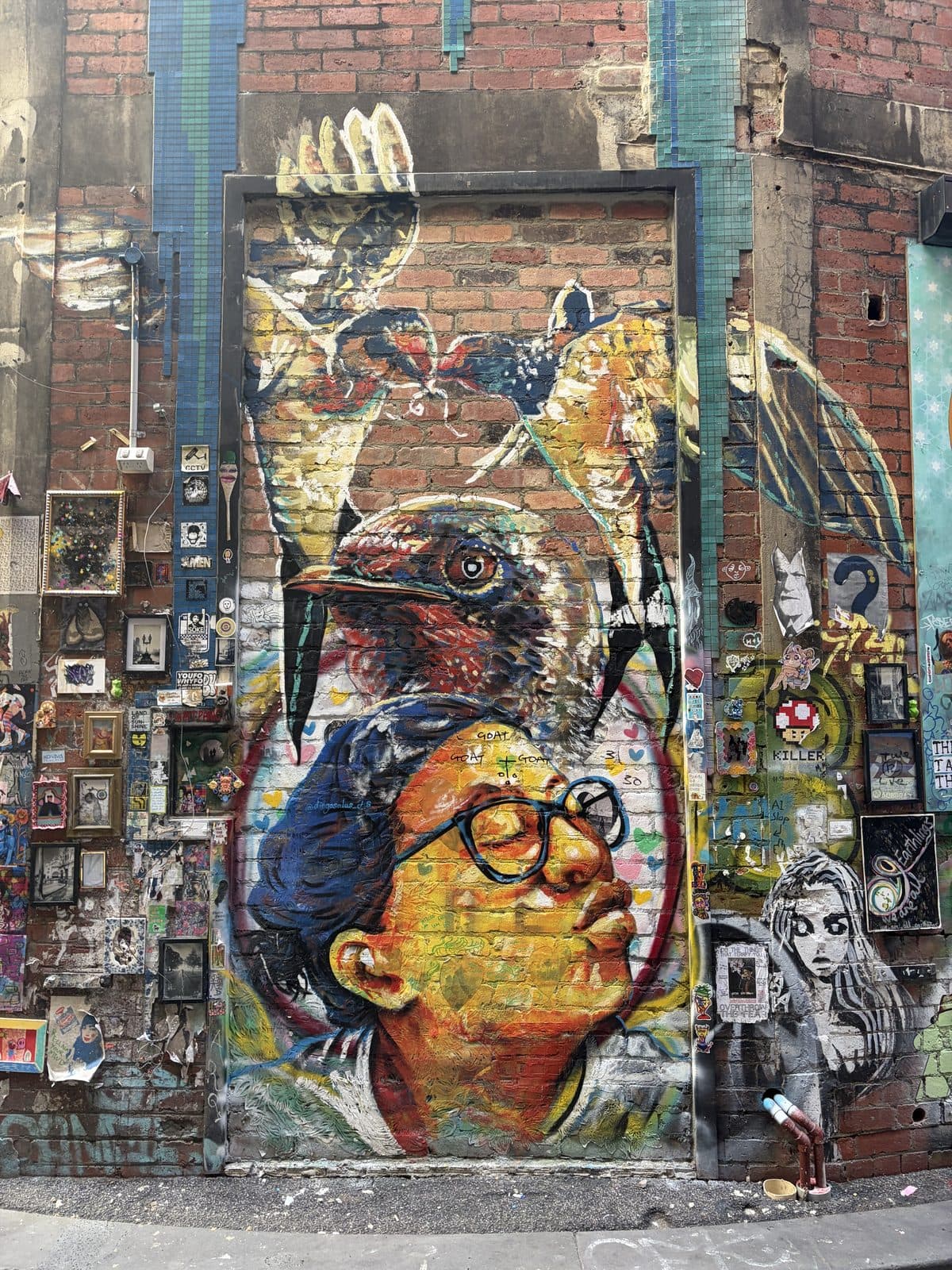 Mural of a bird perched on the head of a person wearing glasses, painted on a brick wall surrounded by small framed artworks in a Melbourne laneway
