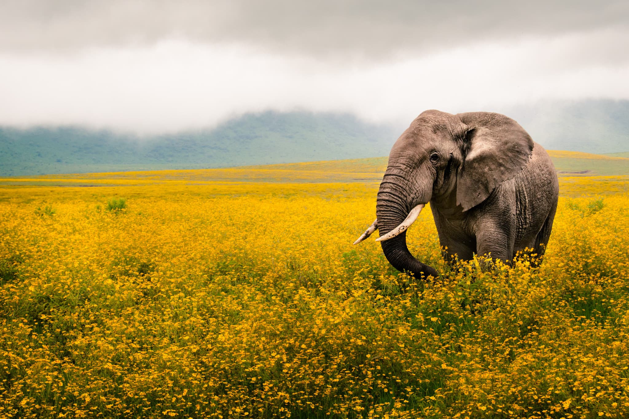 Travel photography by Daniel Bilsborough