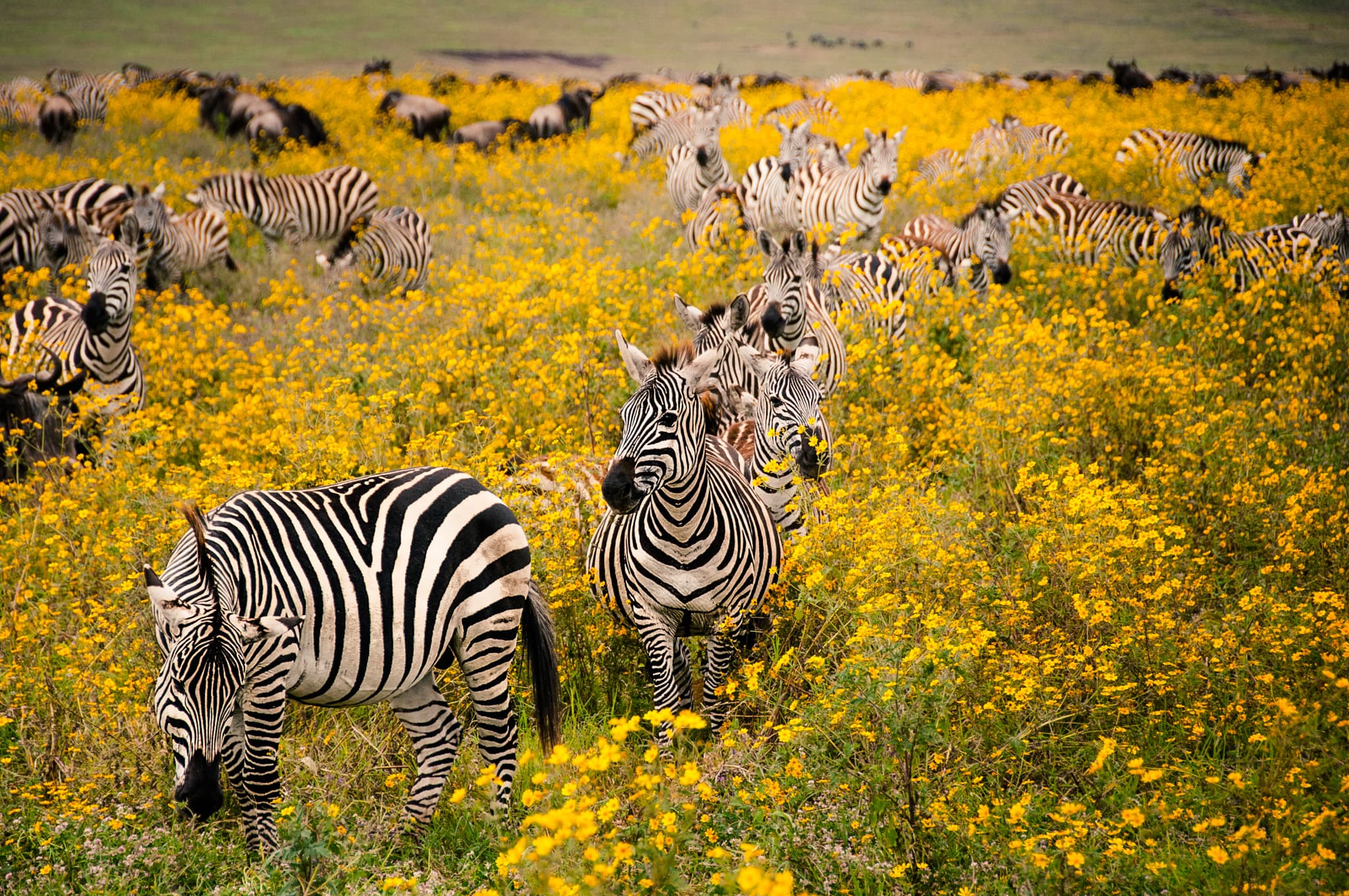 Travel photography by Daniel Bilsborough